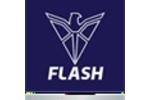 Flash Logo